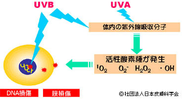 Q3:図