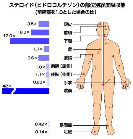 資料6:ステロイド(ヒドロコルチゾン)の部位別経皮吸収能