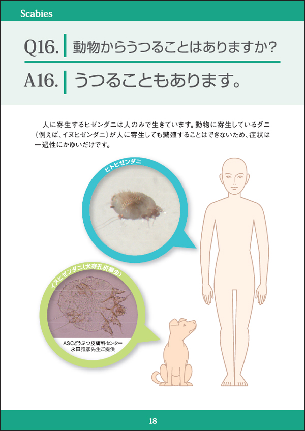 動物からうつることはありますか？